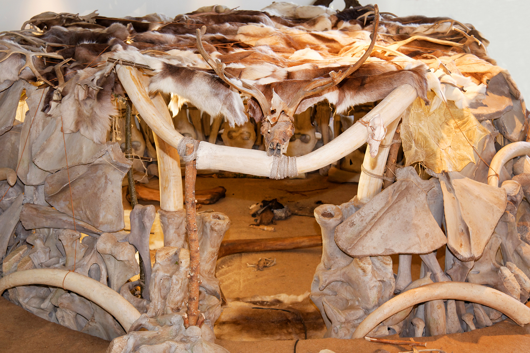 La hutte, première pierre de l'exposition Au Temps des mammouths qui sera dévoilée le 5 avril prochain.