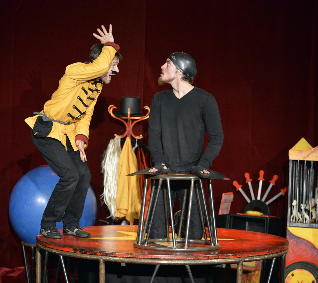 Cie Cirque en scène