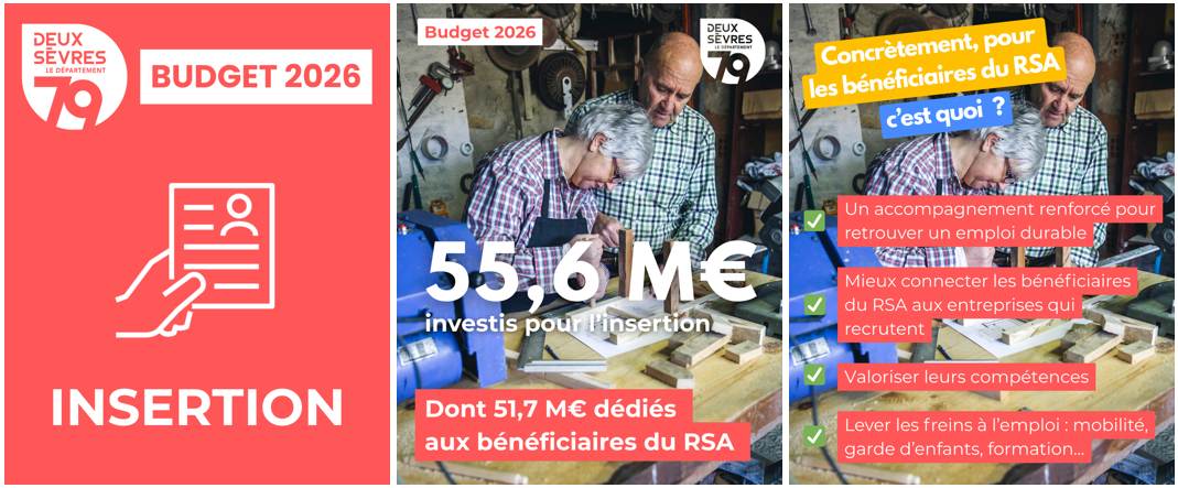 budget 2026 - solidarités - insertion