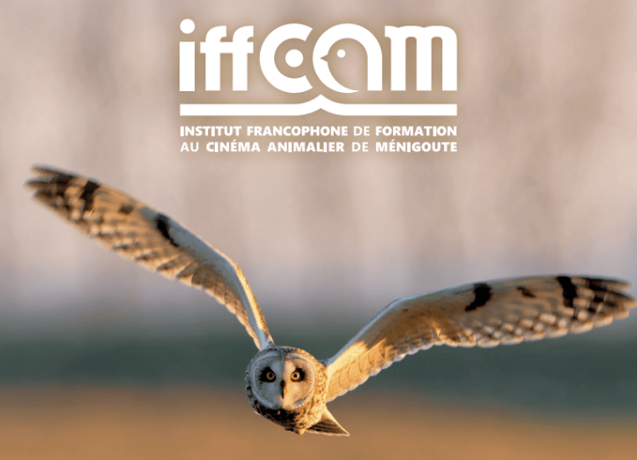 iffcam Taxe d'apprentissage 2026