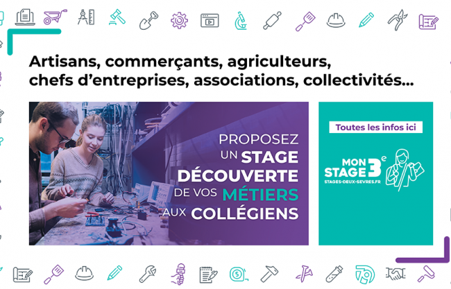 stages 3e entreprises