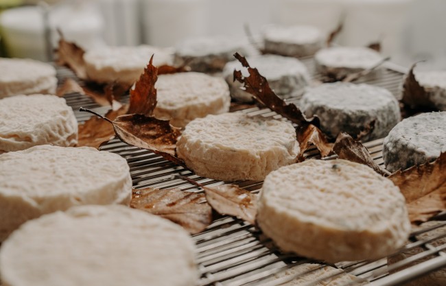 Mothais sur feuille fromage de chèvre