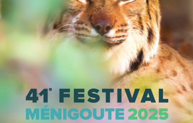 Affiche festival de Ménigoute 2025