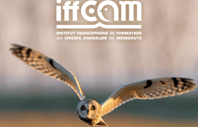 iffcam Taxe d'apprentissage 2026