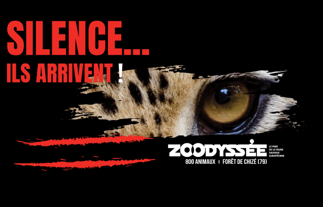Zoodyssée vous réserve une surprise… et vous êtes invités à mener l’enquête !