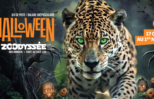Halloween à Zoodyssée : des vacances de la Toussaint pleines de surprises