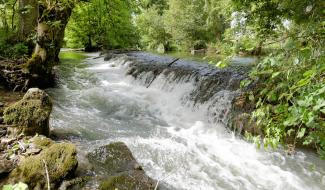 rivieres deux sevres sevre niortaise eau chaussée
