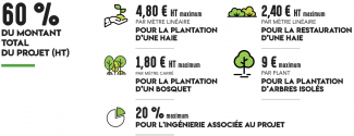 Soutien département plantations de haies