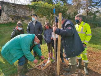 Budget participatif verger