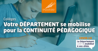 Collèges continuité pédagogique