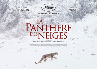 Affiche panthere des neiges