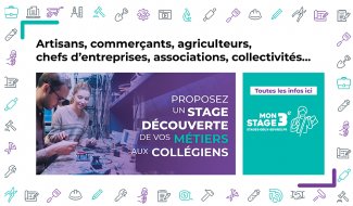 stages 3e entreprises