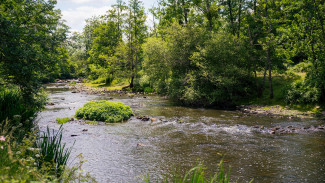 environnement deux sevres