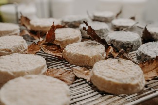 Mothais sur feuille fromage de chèvre
