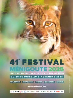Affiche festival de Ménigoute 2025