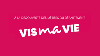 vis ma vie assistant familial