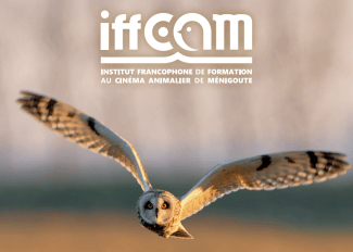 iffcam Taxe d'apprentissage 2026