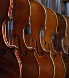 Image Les murs ont des oreilles 2026