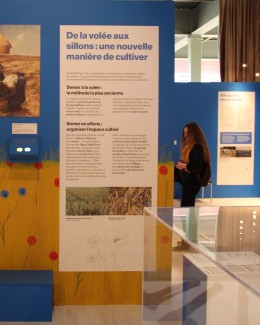 exposition bougon